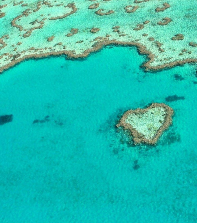 Paradise will wait. Keep dreaming.